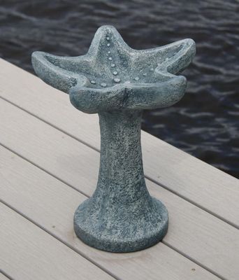 Petite One Piece Starfish Bird Bath