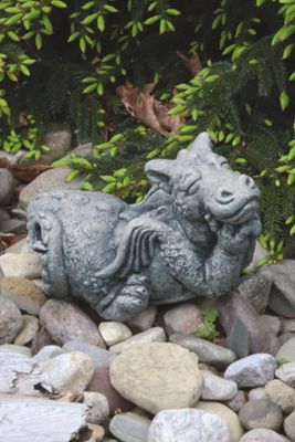 Little Dragon Dreamer