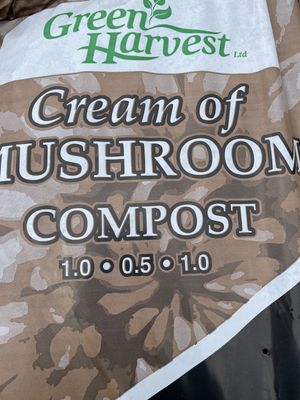 GH Cream of Mushroom Compost