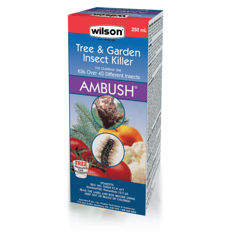 Wilson Bug Out Insecticide with Permethrin 250ml