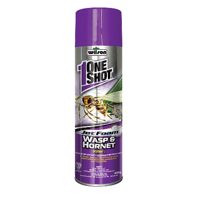 CIL Wasp & Hornet Foam 450GM