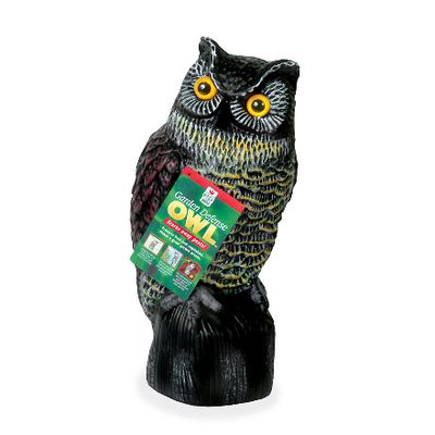 Garden Defense Owl