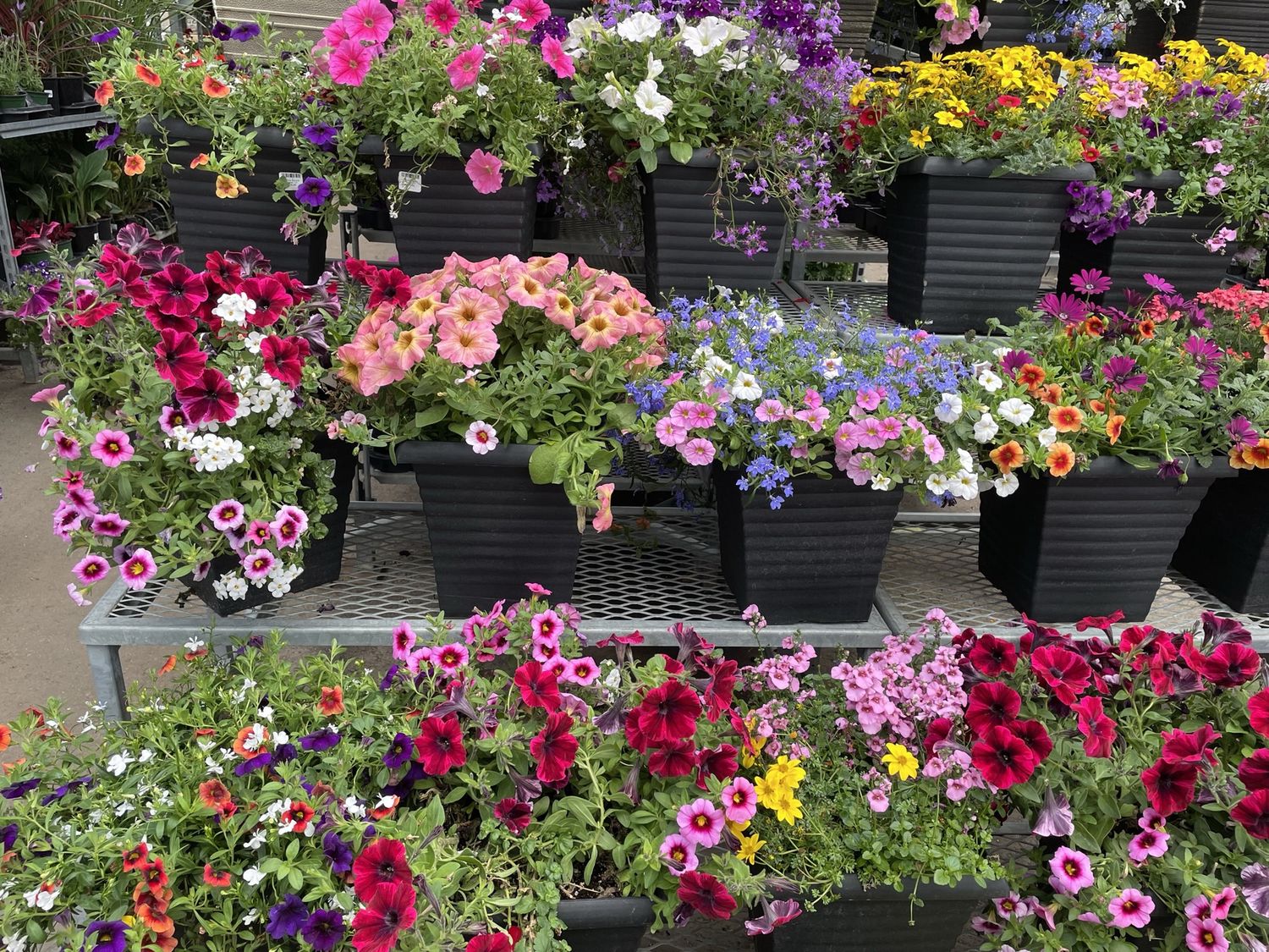 Deluxe Square Planter 10"