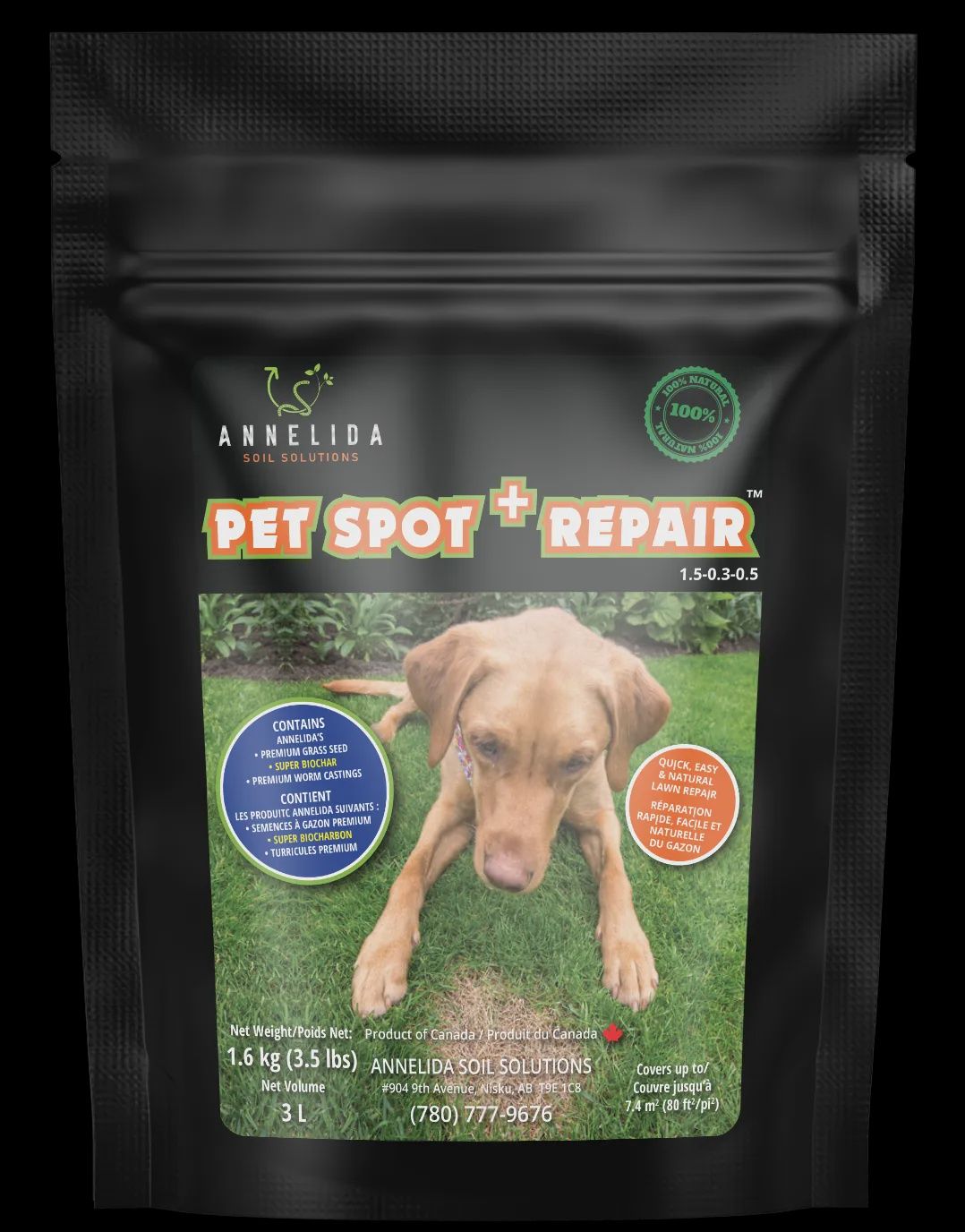 Pet Spot Repair