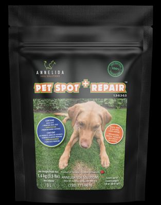 Pet Spot Repair