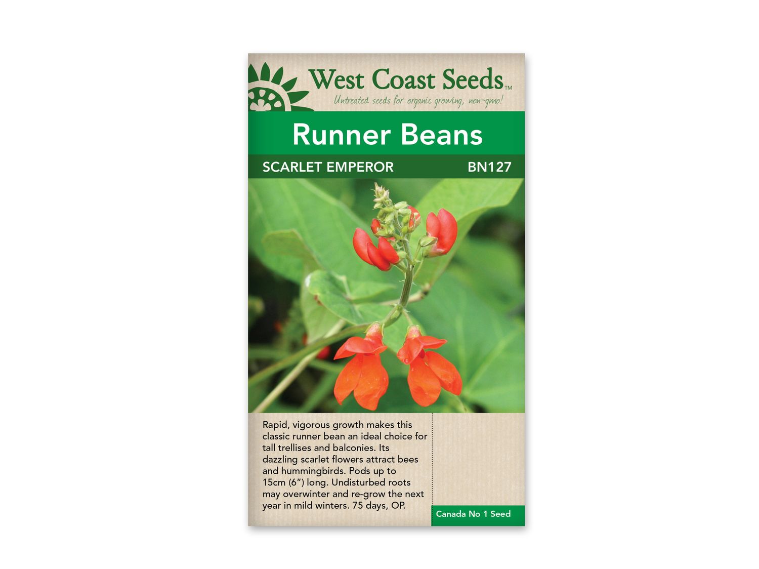 Beans Scarlet Emperor Runner