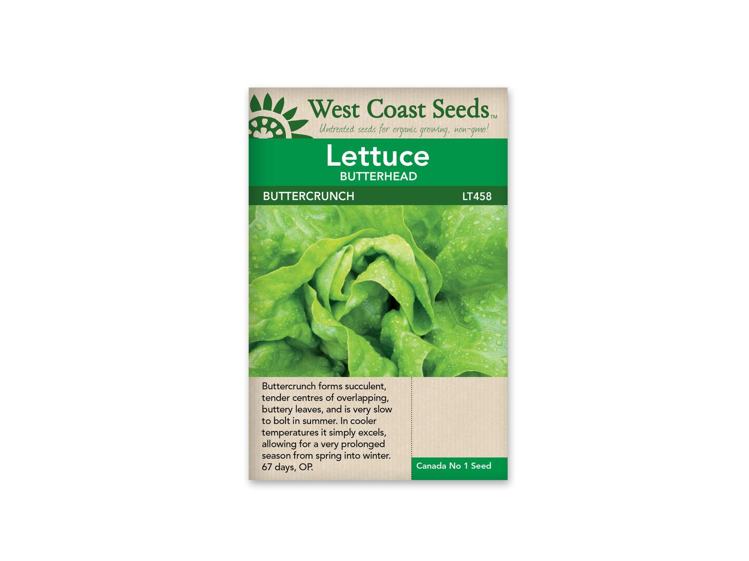 Lettuce Buttercrunch