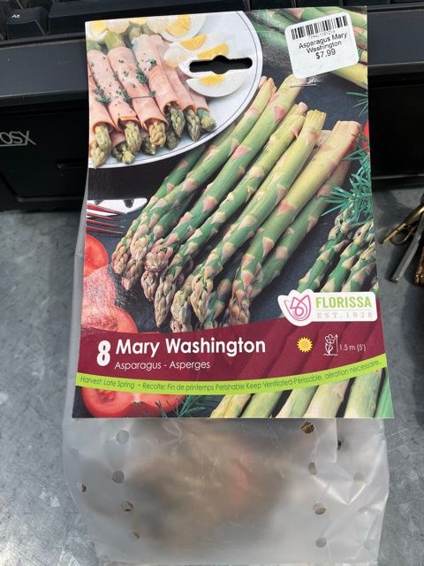 Asparagus Mary Washington