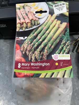 Asparagus Mary Washington