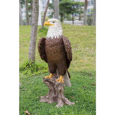 Bald Eagle on Stump