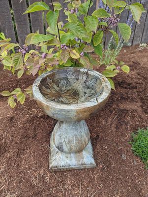 Autumn Leaf Bird Bath