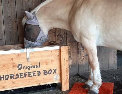 Original Horsefeed Box