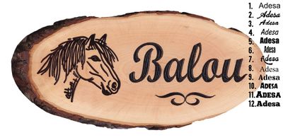 Original HORSEFEED BOX - Boxenschild Classic