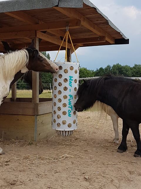 Original HORSEFEED BOX FunDome
