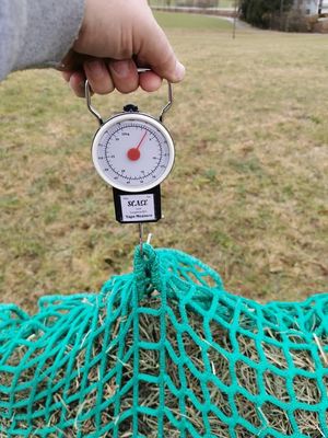 Original HORSEFEED BOX - Heuwaage Federwaage Analog