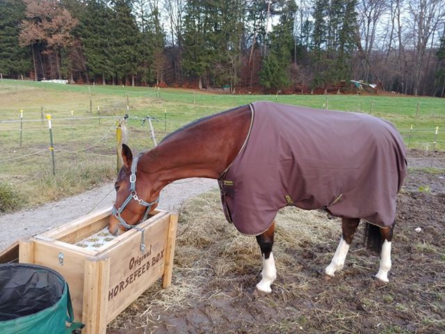 Original HORSEFEED BOX CLASSIC LONG