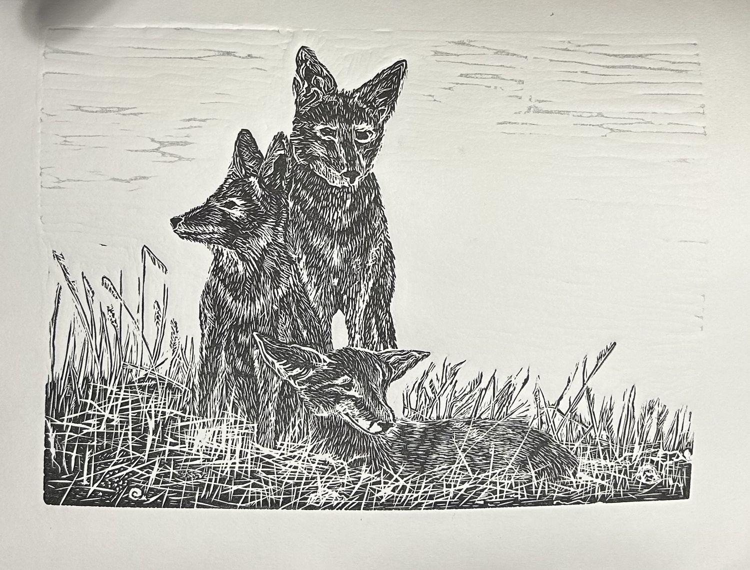 Coyote Linocut - Black and White Coyote Linocut - Black and White