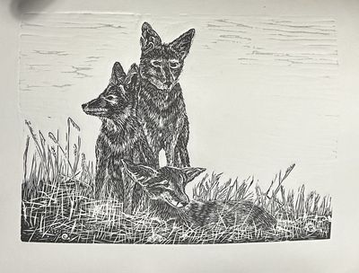 Coyote Linocut - Black and White Coyote Linocut - Black and White