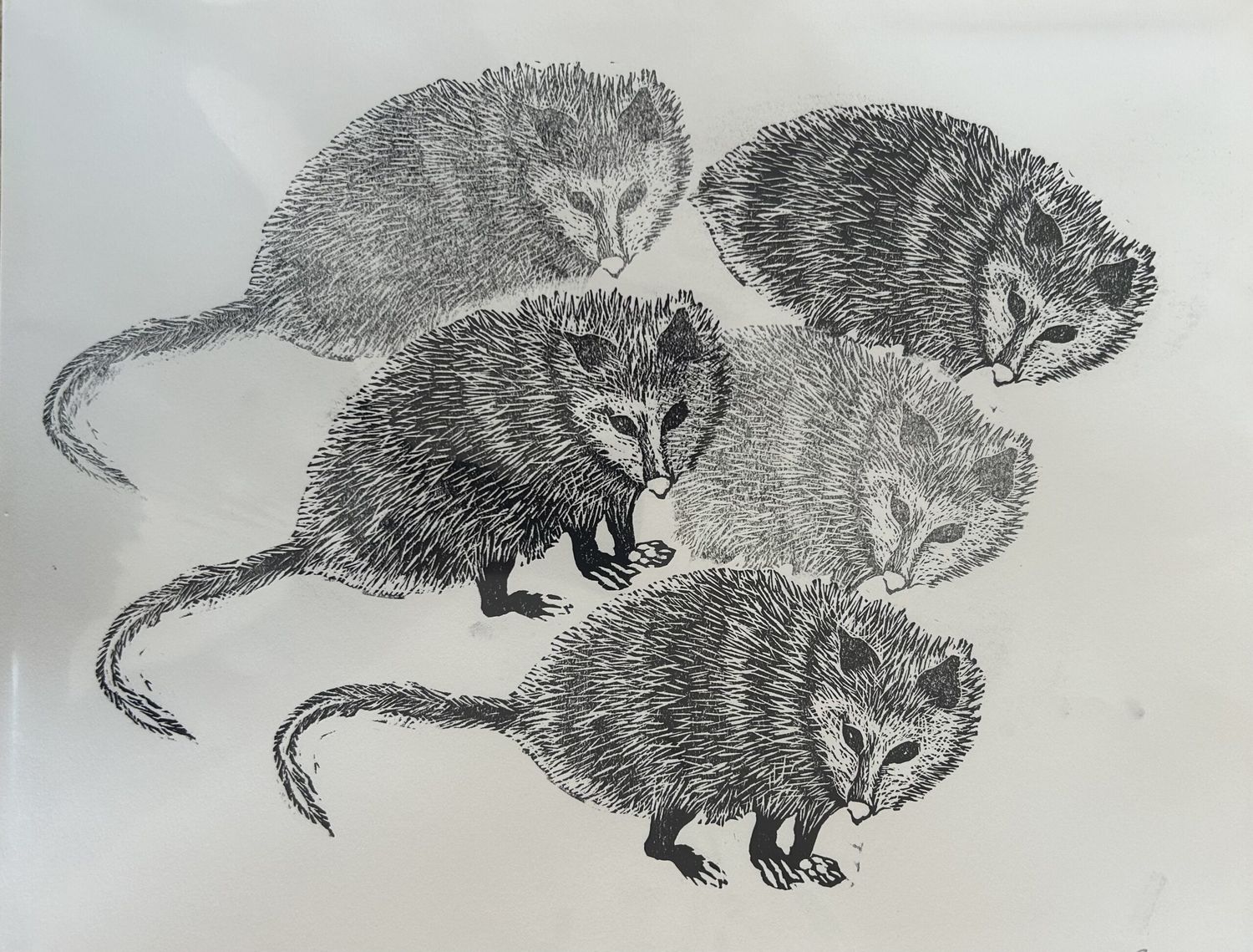 Possum Linocut - Posse or Trio Possum Linocut - Posse or Trio