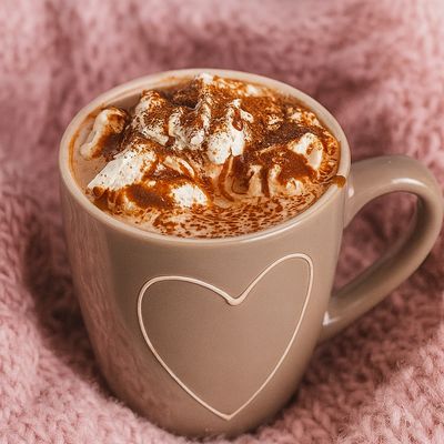 Gourmet Hot Cocoa Vegan
