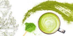 Organic Coconut Matcha