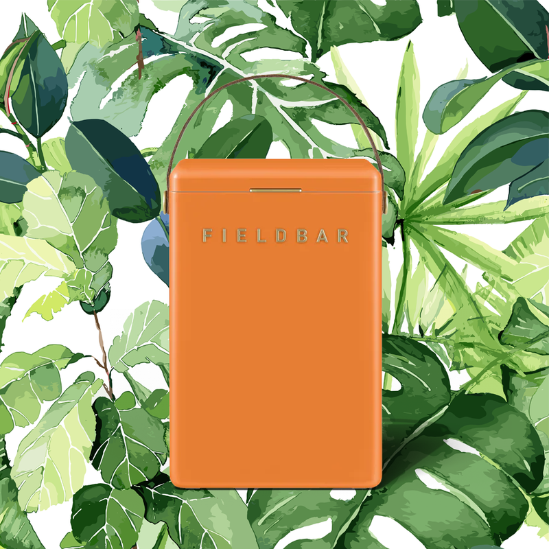 Fieldbar Drinks Box - Orchard Orange