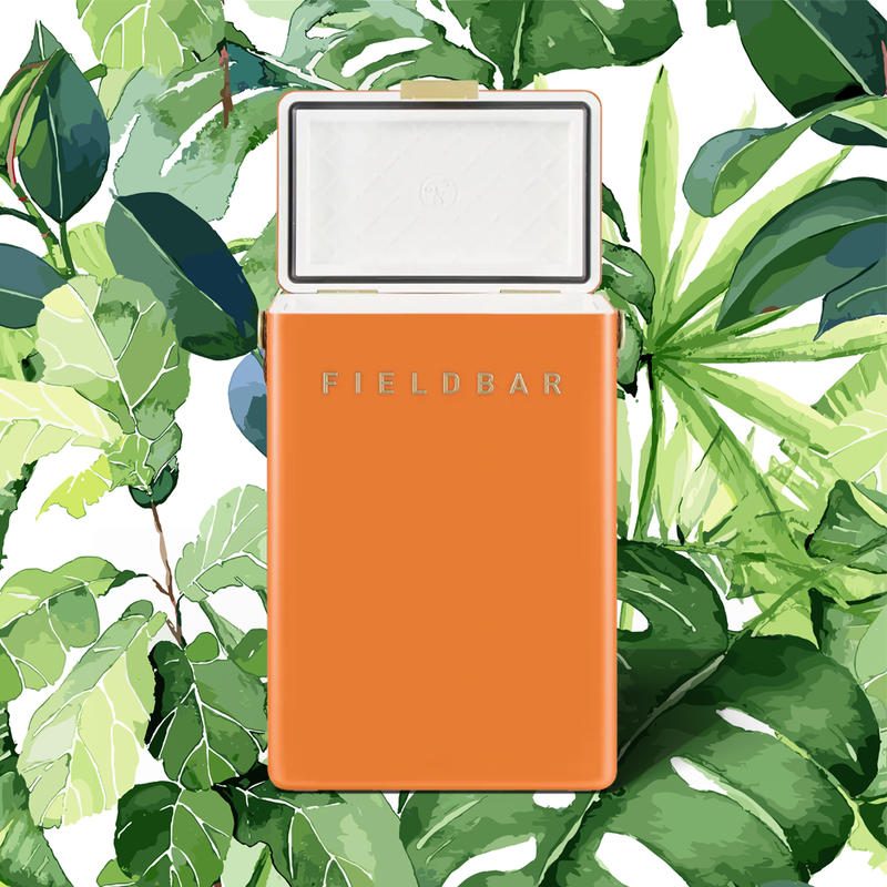 Fieldbar Drinks Box - Orchard Orange