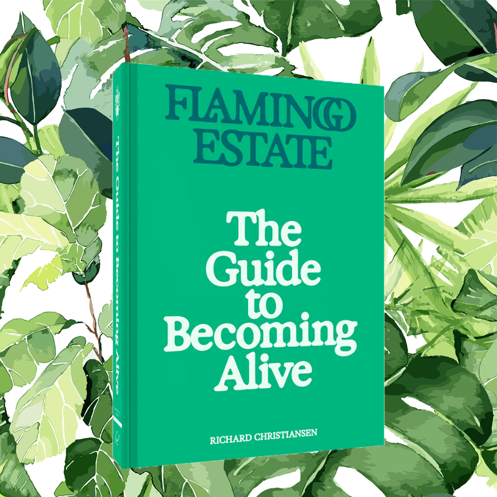 Flamingo Estate's The Guide To Becoming Alive