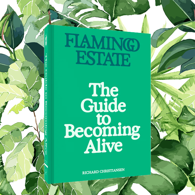 Flamingo Estate's The Guide To Becoming Alive