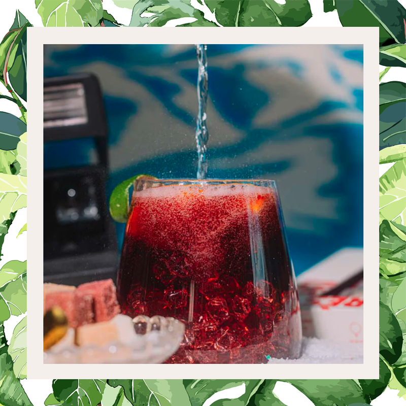 Teaspressa LUXE Mixer Cube - Winter Sangria Cocktail Kit For Red Wine
