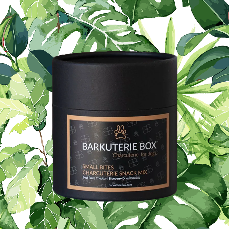 Barkuterie Box - Small Bites Canister