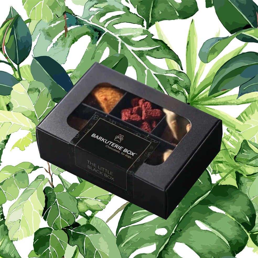 Barkuterie Box - The Little Black Box