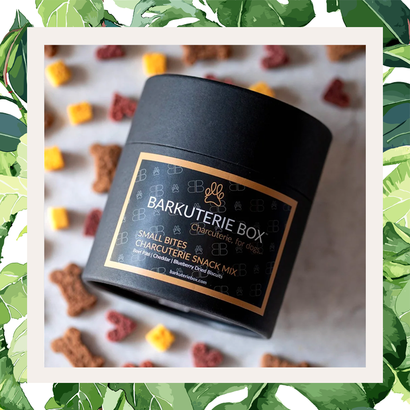 Barkuterie Box - Small Bites Canister
