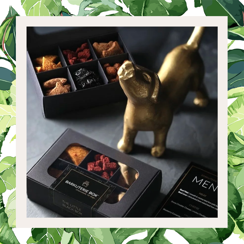 Barkuterie Box - The Little Black Box