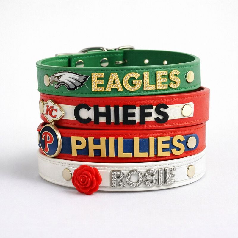 CUSTOM PET COLLARS