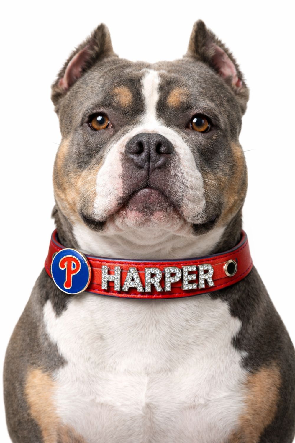 CUSTOM MLB GAME DAY COLLAR