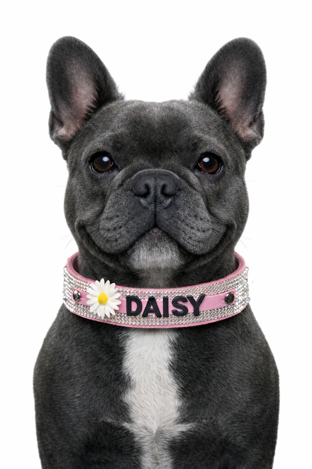 CUSTOM CRYSTAL STATEMENT COLLAR (LARGE BREED)