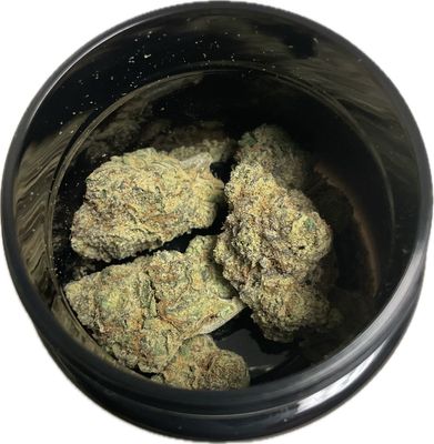Zen Garden - Lemon Cherry Gelato - Hybrid