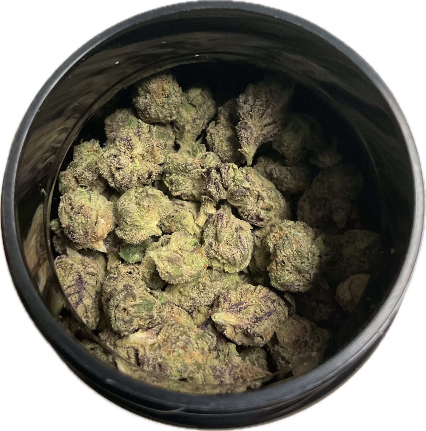 Zen Garden - Blue Taffeez - Hybrid