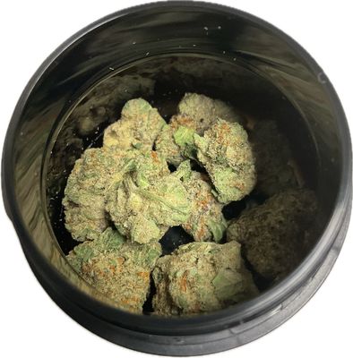 Zen Garden -Iilemonati - Hybrid