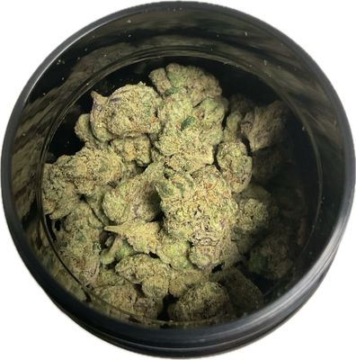 Zen Garden - Blue andeze - HYBRID - (Smalls)