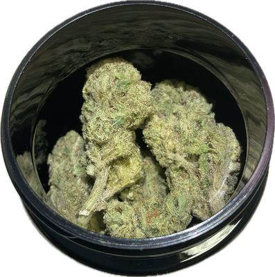 Zen Garden - 91 Octane - Sativa