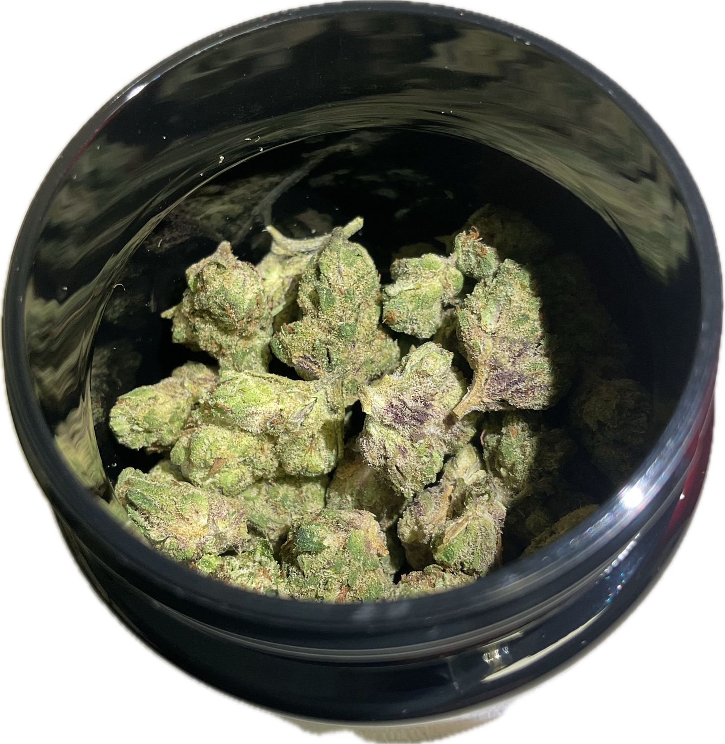 Zen Garden - Garlic Cookies - Hybrid - (Smalls)