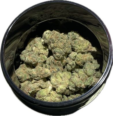 Zen Garden - Bubblegum Popperz - Hybrid - (Smalls)