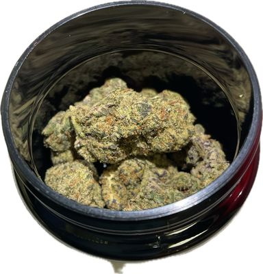Zen Garden - Gelato 33 - Hybrid