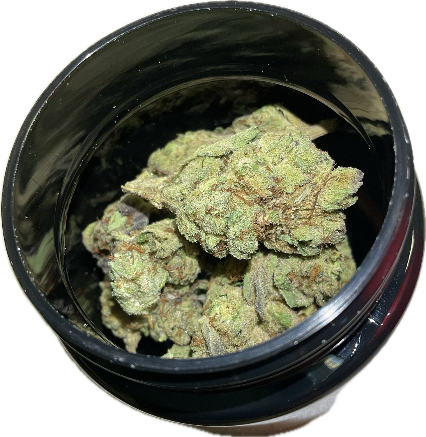 Zen Garden - Baja Splash - Indica