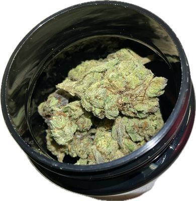 Zen Garden - Baja Splash - Indica