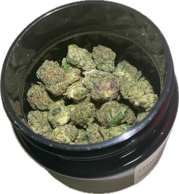 Zen Garden - Runtz X Jealousy - Hybrid