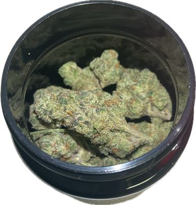 Zen Garden - Zkittles - Hybrid