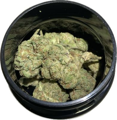 Zen Garden - Sweet Tart - Hybrid